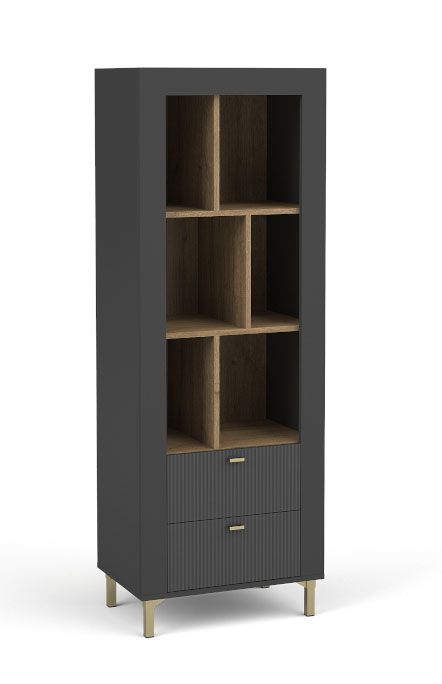 Simple bookcase with two drawers Barbe 11, ABS, color: black matt, dimensions: 168.5 x 60 x 40 cm, modern and simple design, for living room