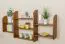 Wall shelf solid pine solid wood oak color 021 - Dimensions 75 x 150 x 20 cm (H x W x D)